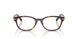 8015 - Tortoise