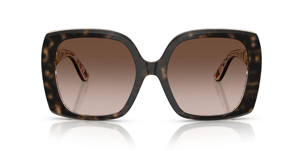 321713 - Tortoise - Brown Gradient