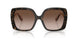 321713 - Tortoise - Brown Gradient