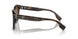 300283 - Brown - Brown Polarized