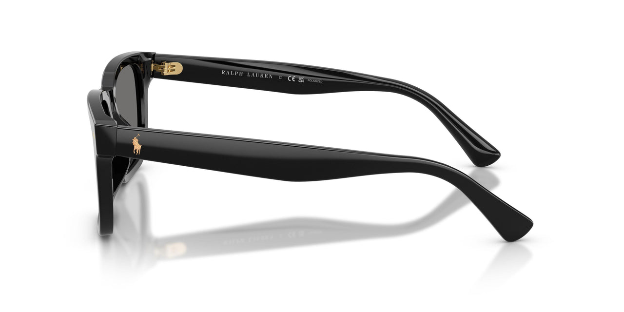 500181 - Black - Polarized Dark Grey
