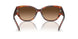 574174 - Tortoise - Brown Gradient