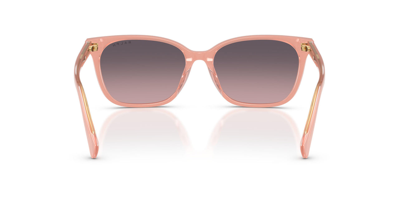 629646 - Pink - Gradient Violet