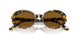 177853 - Tortoise - True Brown