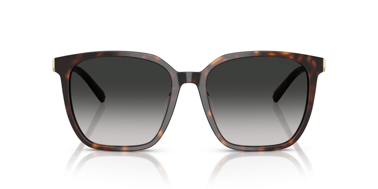 80153C - Tortoise - Grey Gradient