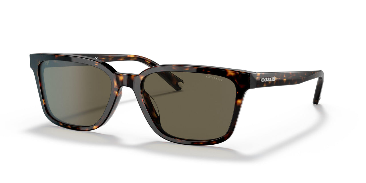 512003 - Havana - Dark Brown Solid