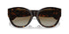 702/T5 - Tortoise - Brown Gradient Polarized