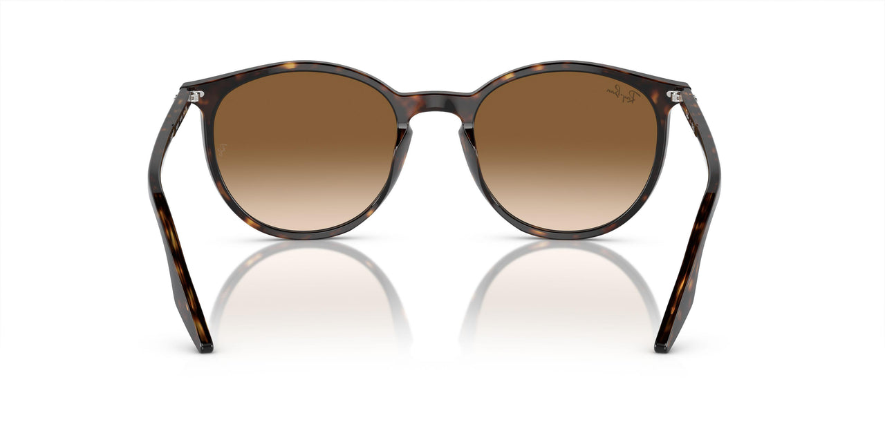 902/51 - Tortoise - Light Brown
