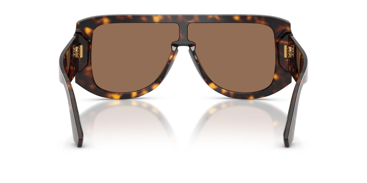 502/73 - Tortoise - Dark Brown