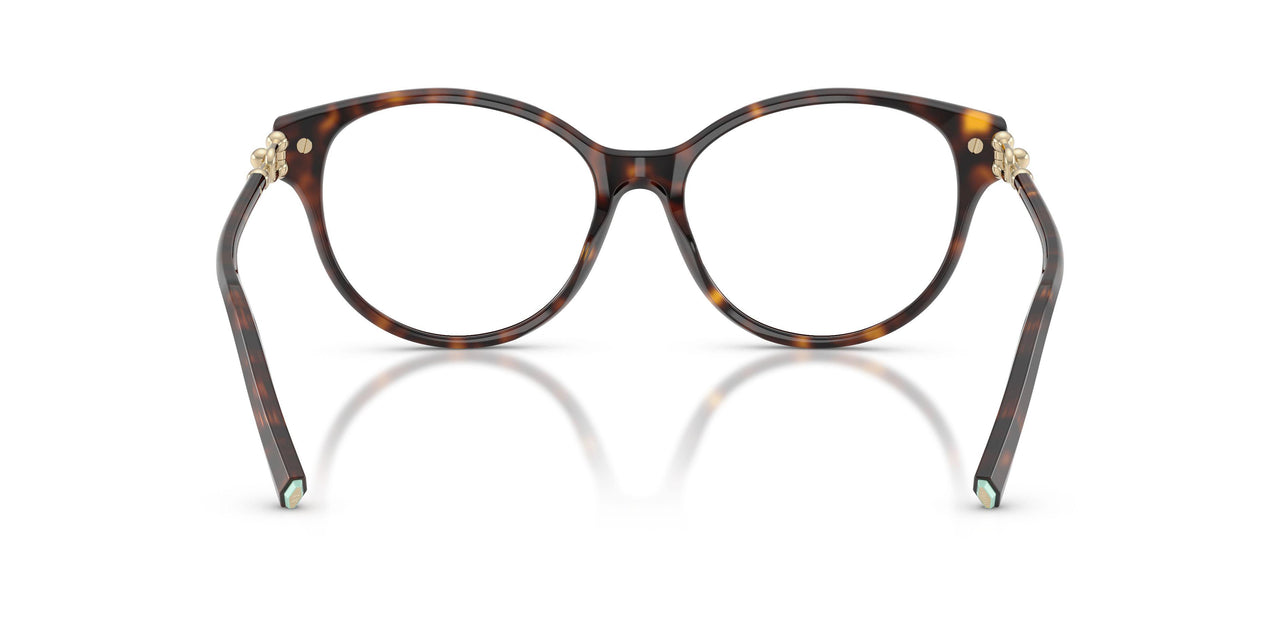 8015 - Tortoise