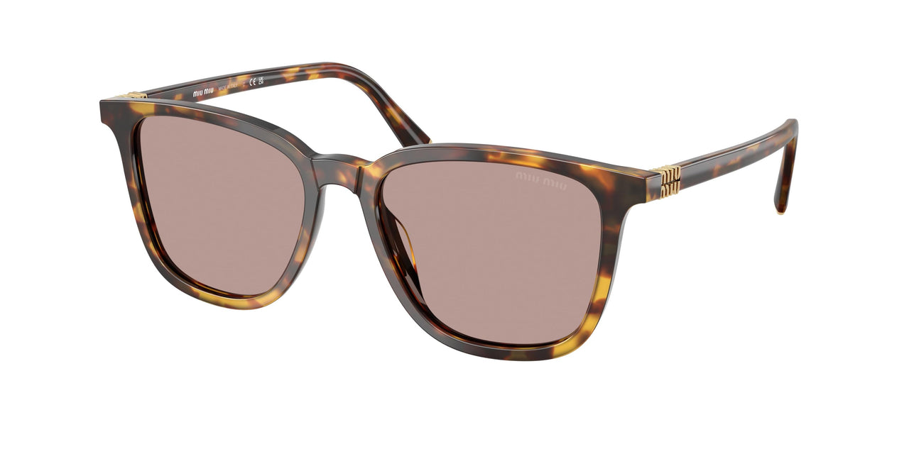 14L20I - Tortoise - Light Purple Brown