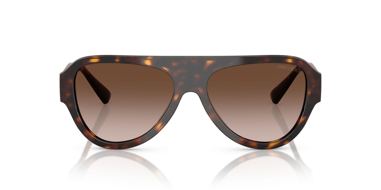500213 - Tortoise - Gradient Brown