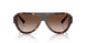 500213 - Tortoise - Gradient Brown