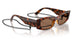 W65673 - Brown - Dark Brown