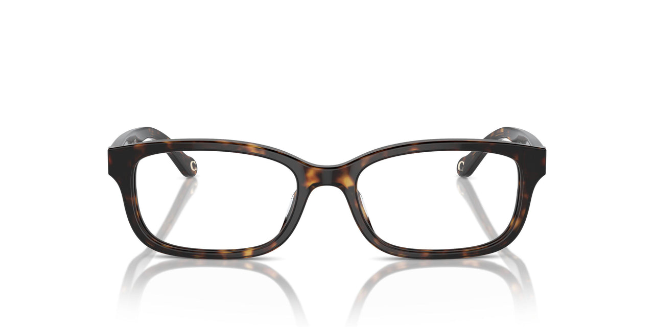 5120 - Tortoise