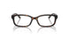 5120 - Tortoise