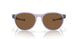 912610 - Violet - Prizm Bronze