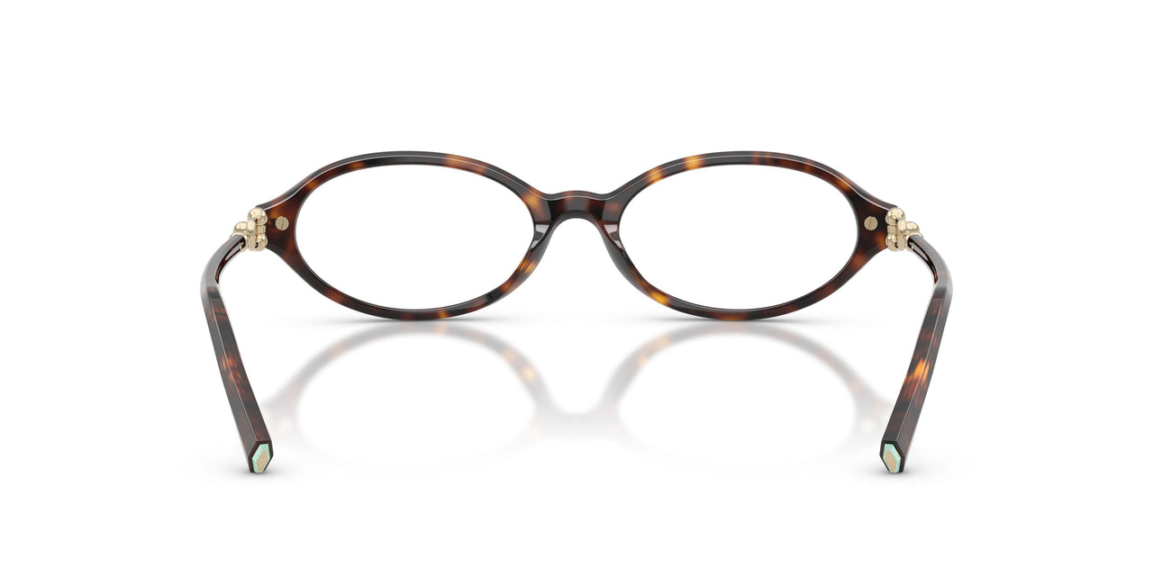 8015 - Tortoise