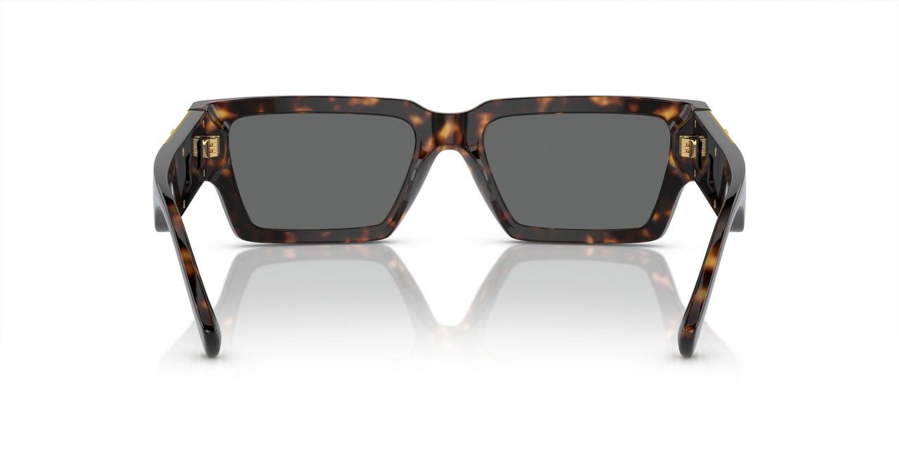 108/87 - Tortoise - Dark Grey