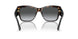 W656T3 - Brown - Grey Gradient Dark Grey Polar