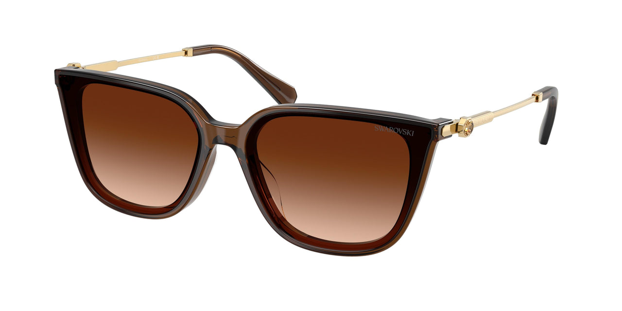 Swarovski 6054D Sunglasses