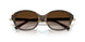 81343B - Brown - Brown Gradient
