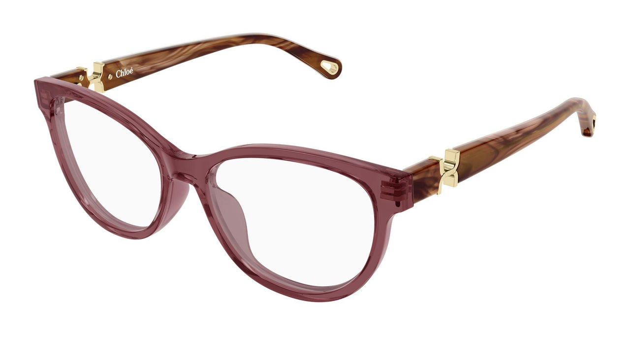 008 - Burgundy/Havana - Transparent