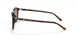 902/57 - Tortoise - Brown