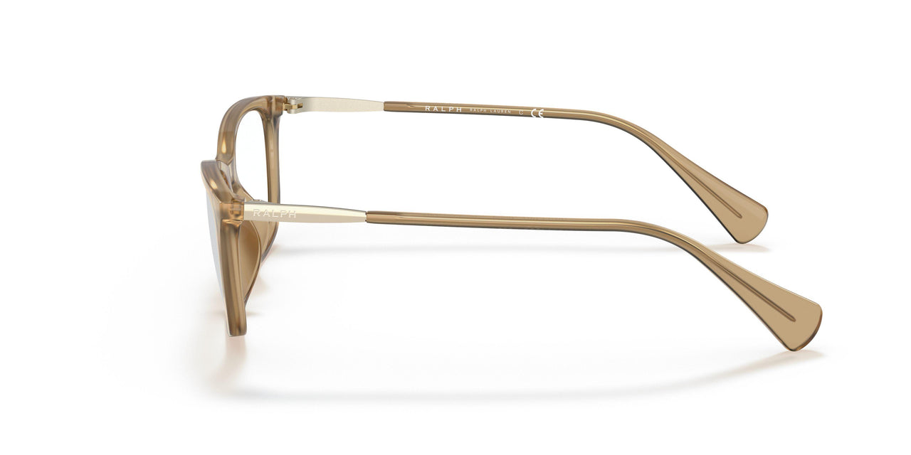 6004 - Transparent