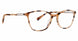 Life Is Good LGTOBI Eyeglasses