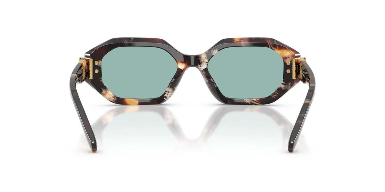 207282 - Tortoise - Petrol Green