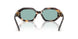 207282 - Tortoise - Petrol Green