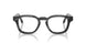 6393 - Tortoise