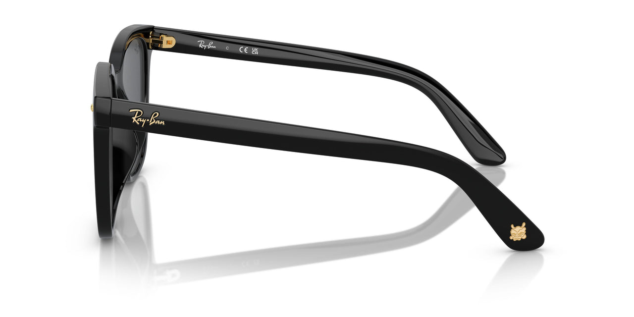 675787 - Black - Dark Grey