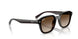 714/13 - Brown - Gradient Brown