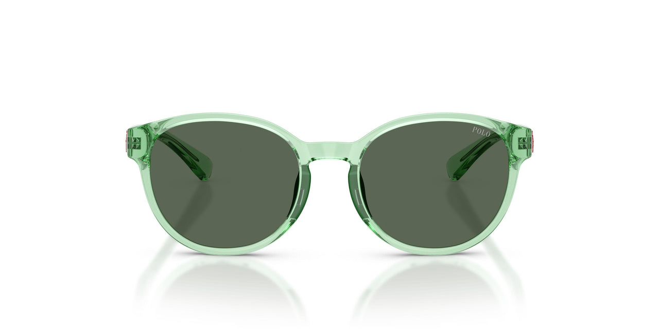 625071 - Green - Dark Green