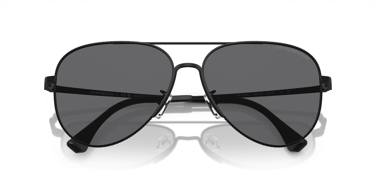 300181 - Black - Polarized Grey
