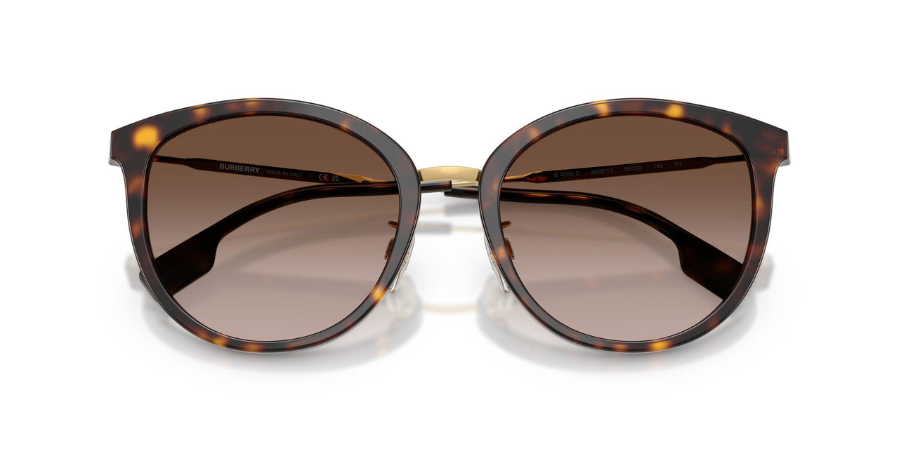 300213 - Havana - Brown Gradient