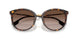 300213 - Havana - Brown Gradient