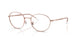 Ray-Ban 6558 Eyeglasses