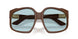 24D20R - Brown - Light Blue