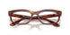 2144 - Brown - Clear