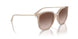 315113 - Brown - Brown Gradient