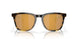 200221 - Tortoise - Gold Mirror