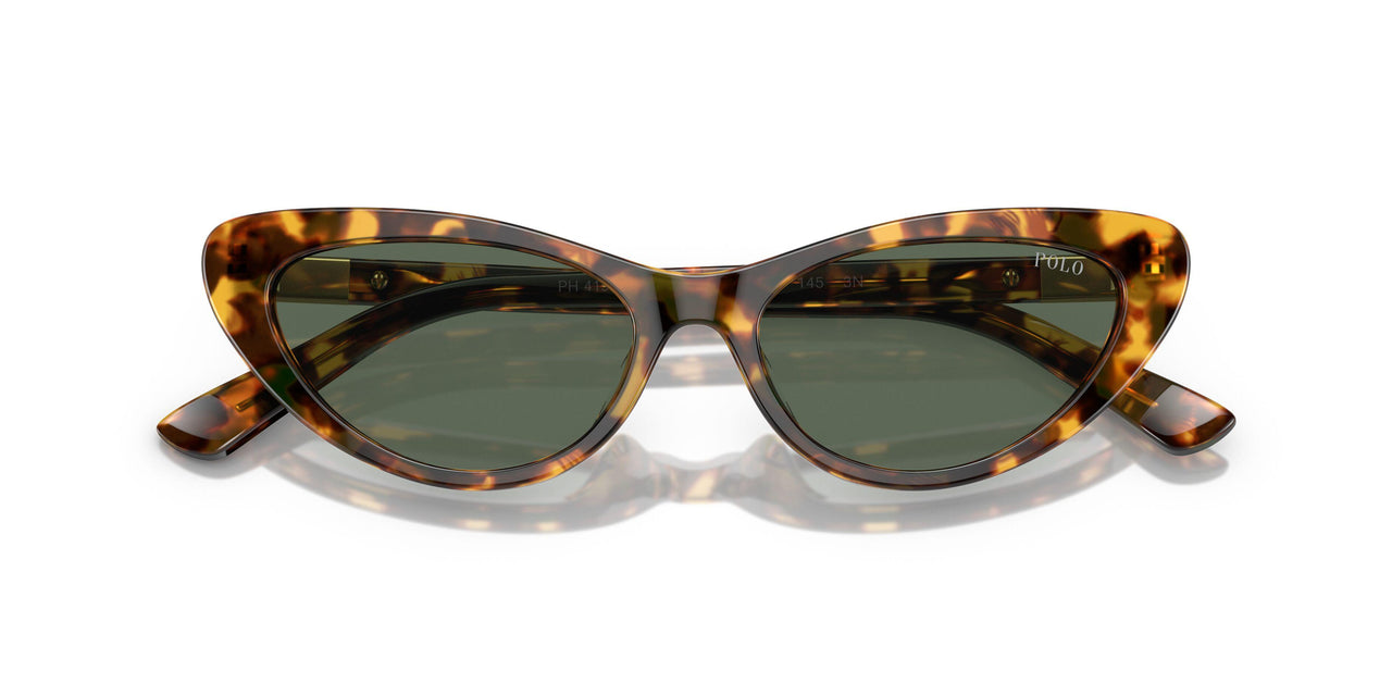 607871 - Tortoise - Dark Green