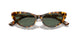 607871 - Tortoise - Dark Green