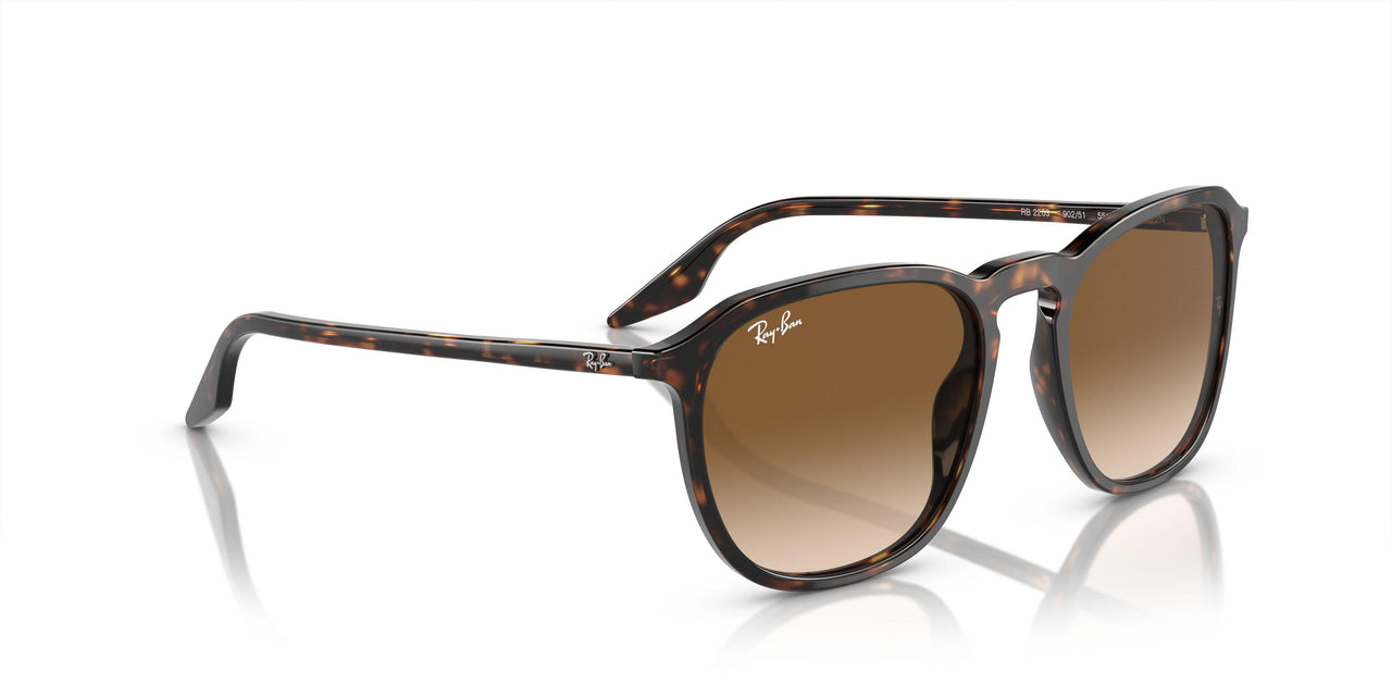 902/51 - Tortoise - Clear/brown