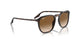 902/51 - Tortoise - Clear/brown