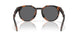 924225 - Tortoise - Prizm Black