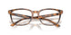 6161 - Tortoise
